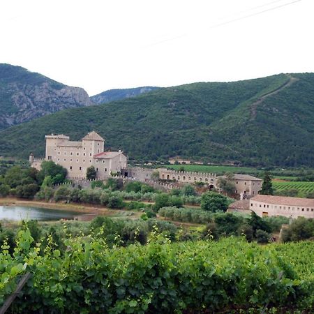 Castell De Riudabella Lägenhet Vimbodi I Poblet Exteriör bild