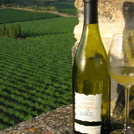 Castell De Riudabella Lägenhet Vimbodi I Poblet Exteriör bild