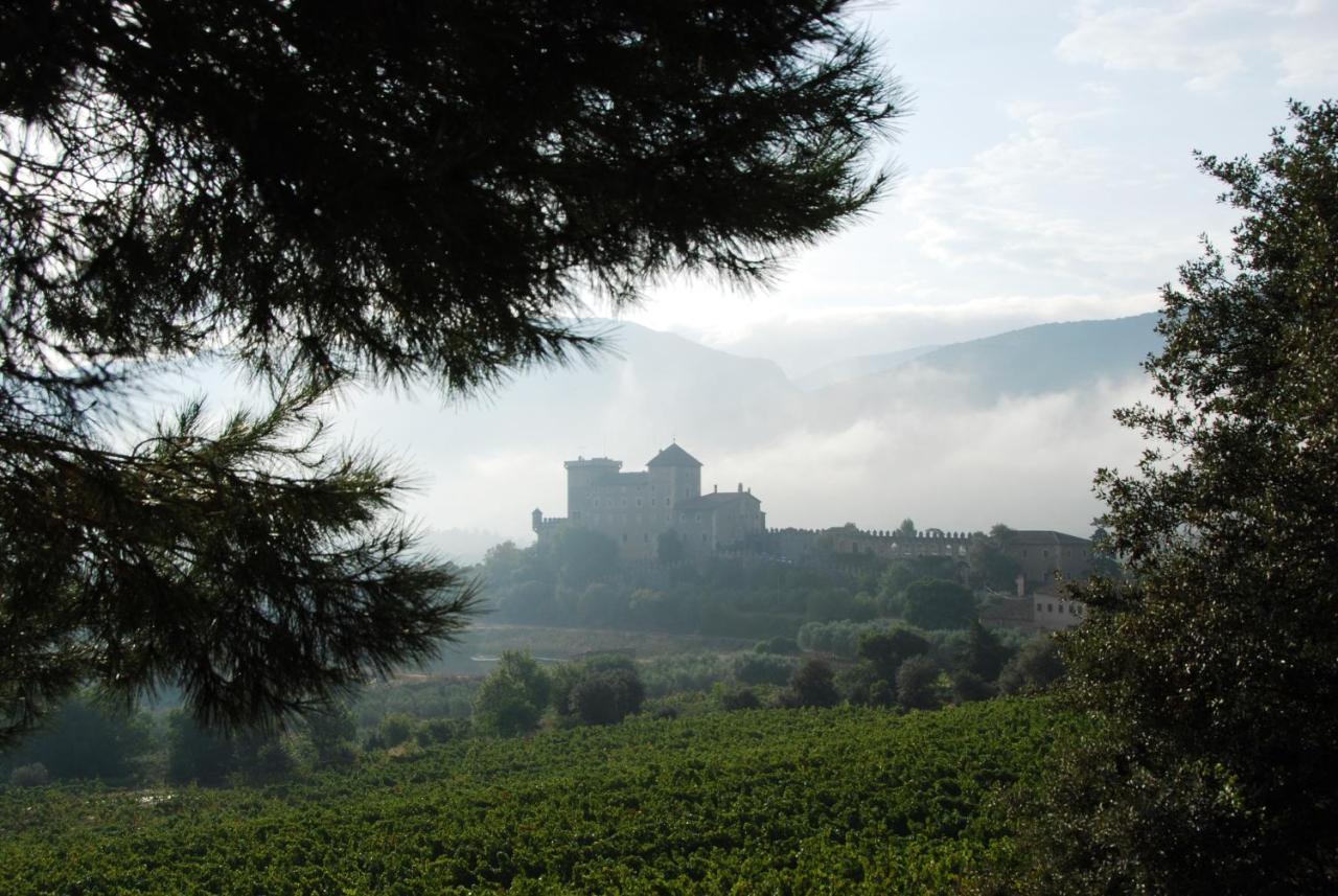 Castell De Riudabella Lägenhet Vimbodi I Poblet Exteriör bild